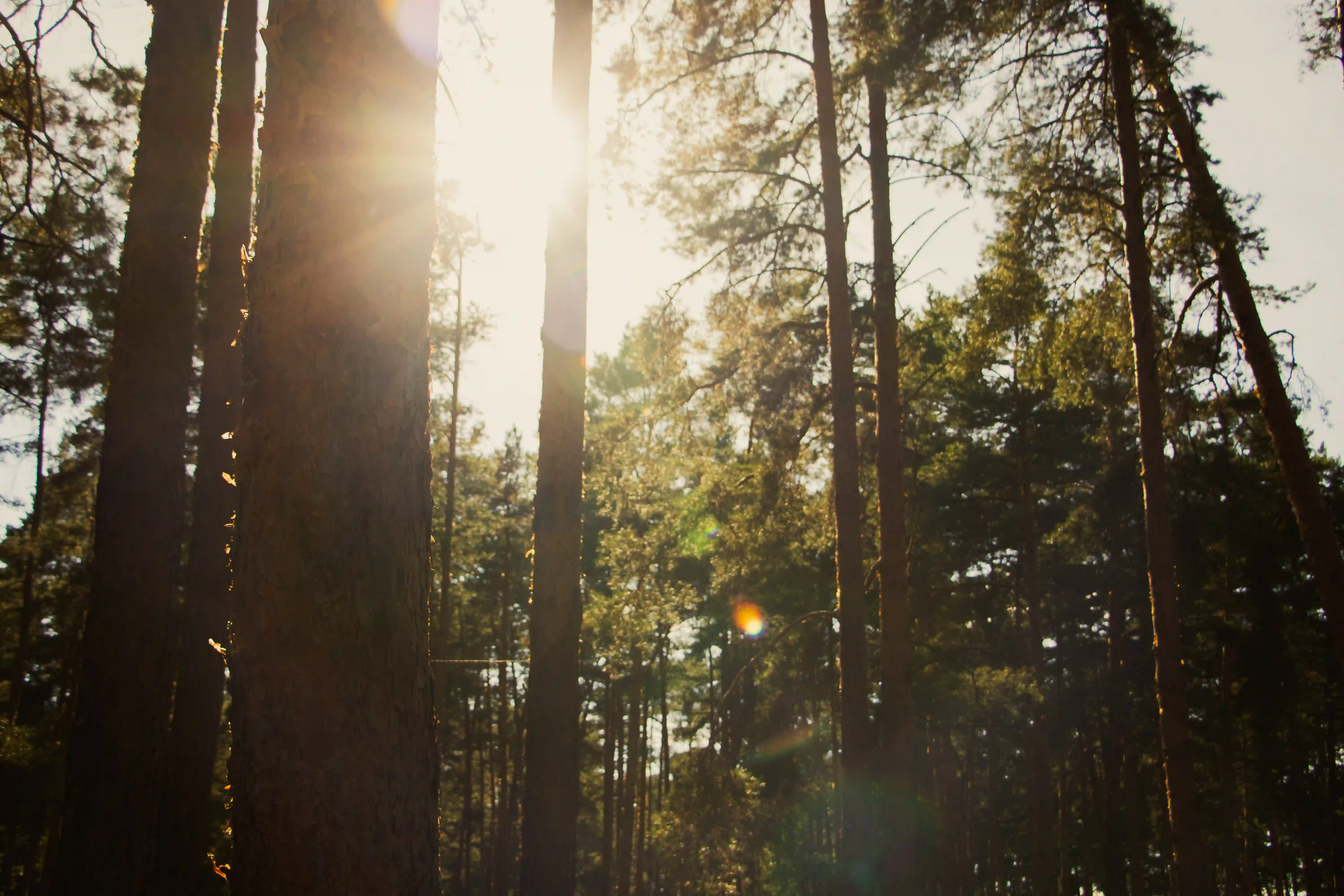 Солнечный, инфраструктура