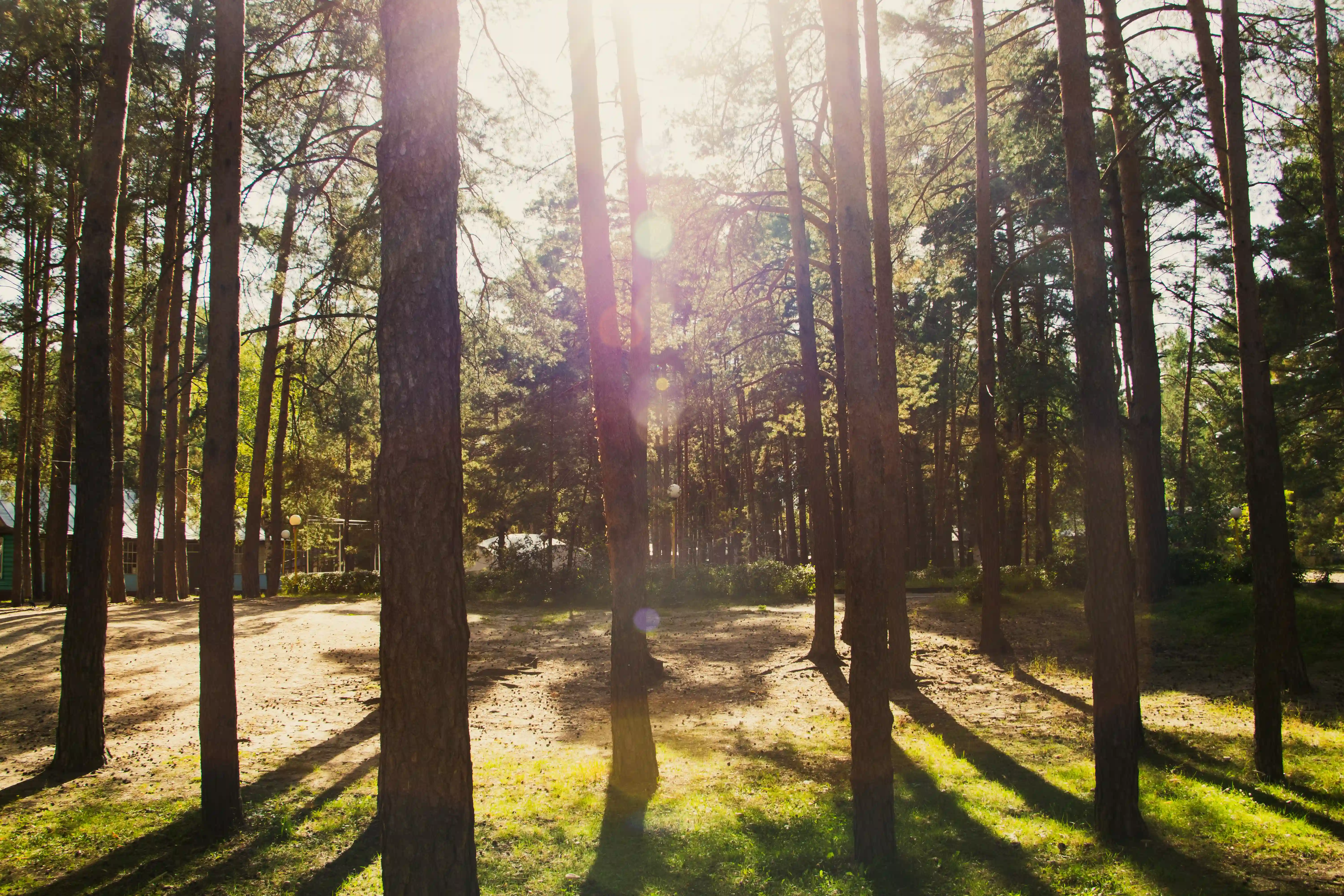 Солнечный, инфраструктура